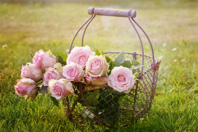 poster-print-a-basket-full-of-roses