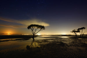 3-piece-canvas-print-moonrise