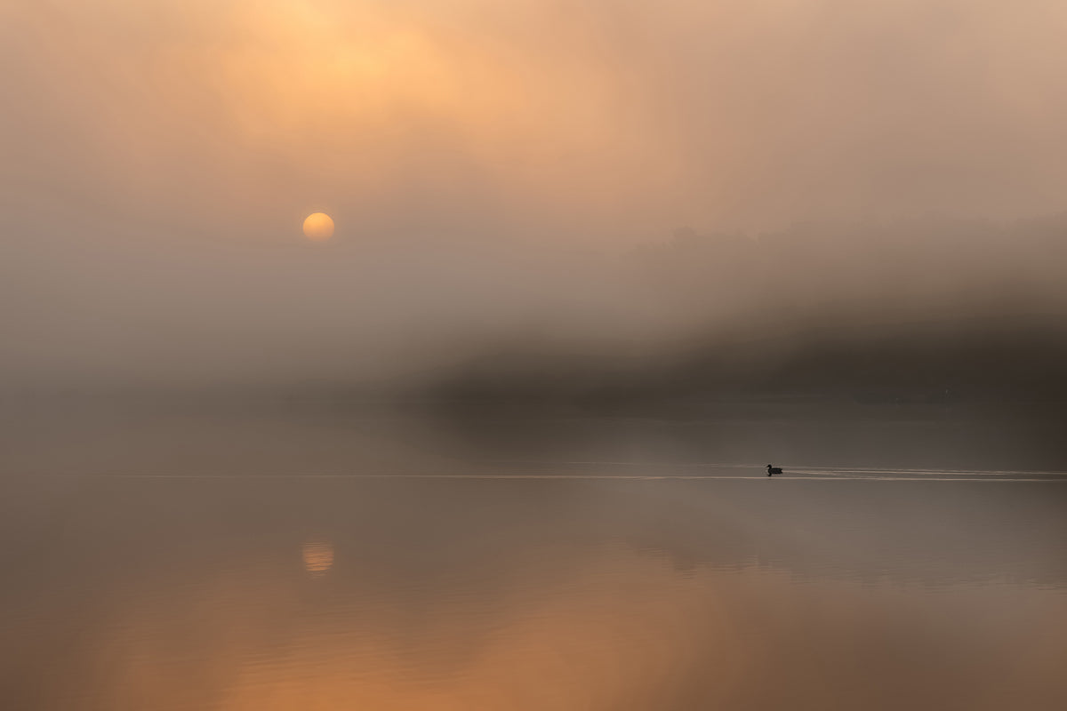 framedcanvas-print-autumn-fog-over-the-water