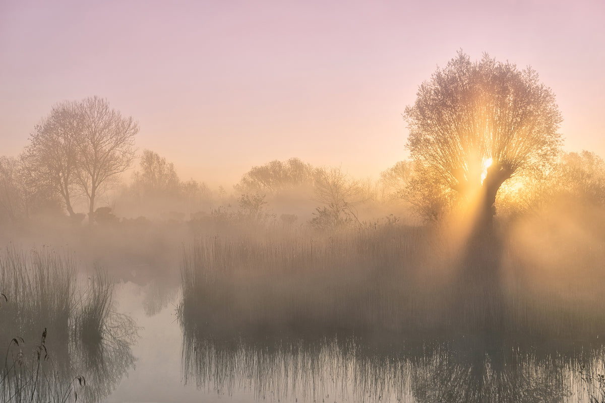 canvas-print-silence-xwc