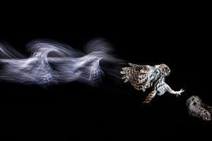 acrylic-print-back-to-the-future