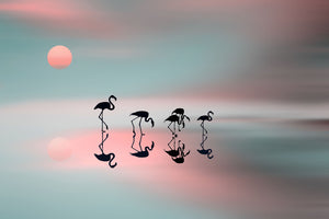framedcanvas-print-family-flamingos-x