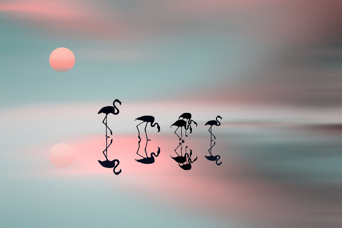 framedcanvas-print-family-flamingos-x