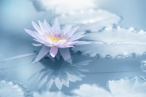 poster-print-reflection-xbu