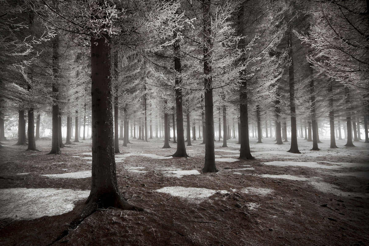 3-piece-canvas-print-the-onset-of-winter