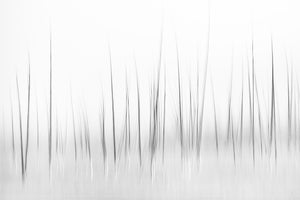 aluminium-print-wintry-scenery-in-yellowstone