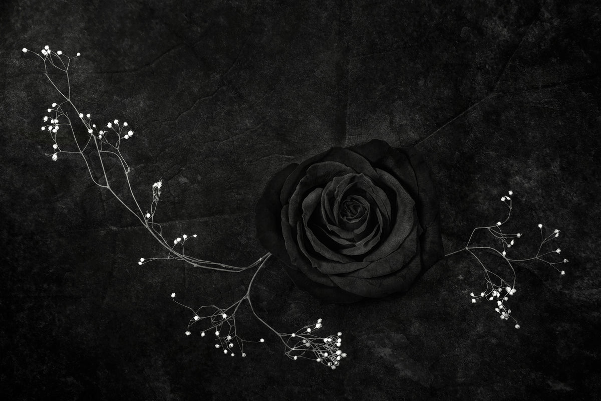modern-3-piece-acrylic-print-rose-noire