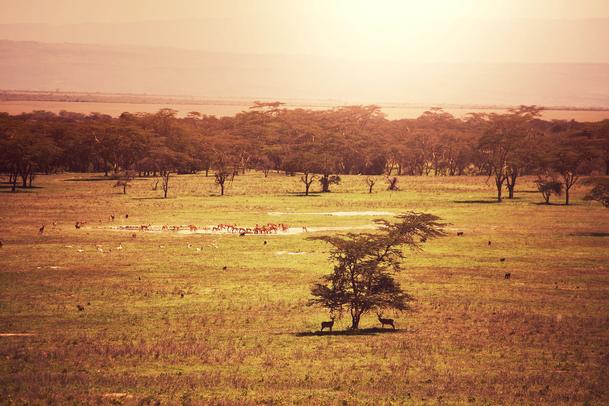 canvas-print-picturesque-africa