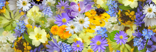 panoramic-3-piece-canvas-print-fresh-spring-flowers-panorama