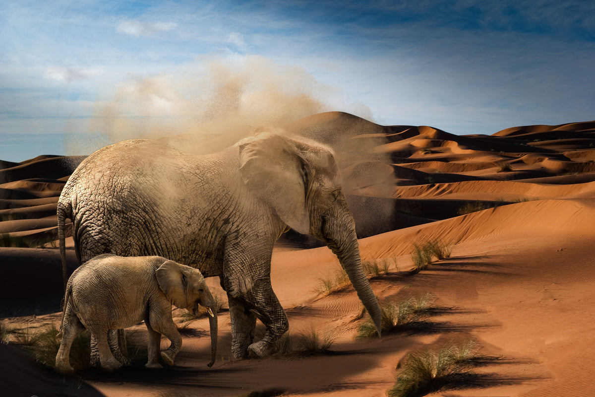 acrylic-print-elephants-in-the-desert