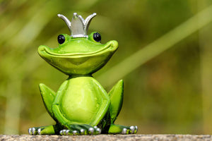 framedcanvas-print-mr-frog-king
