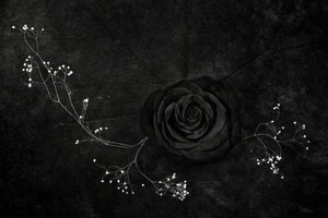 modern-3-piece-canvas-print-rose-noire