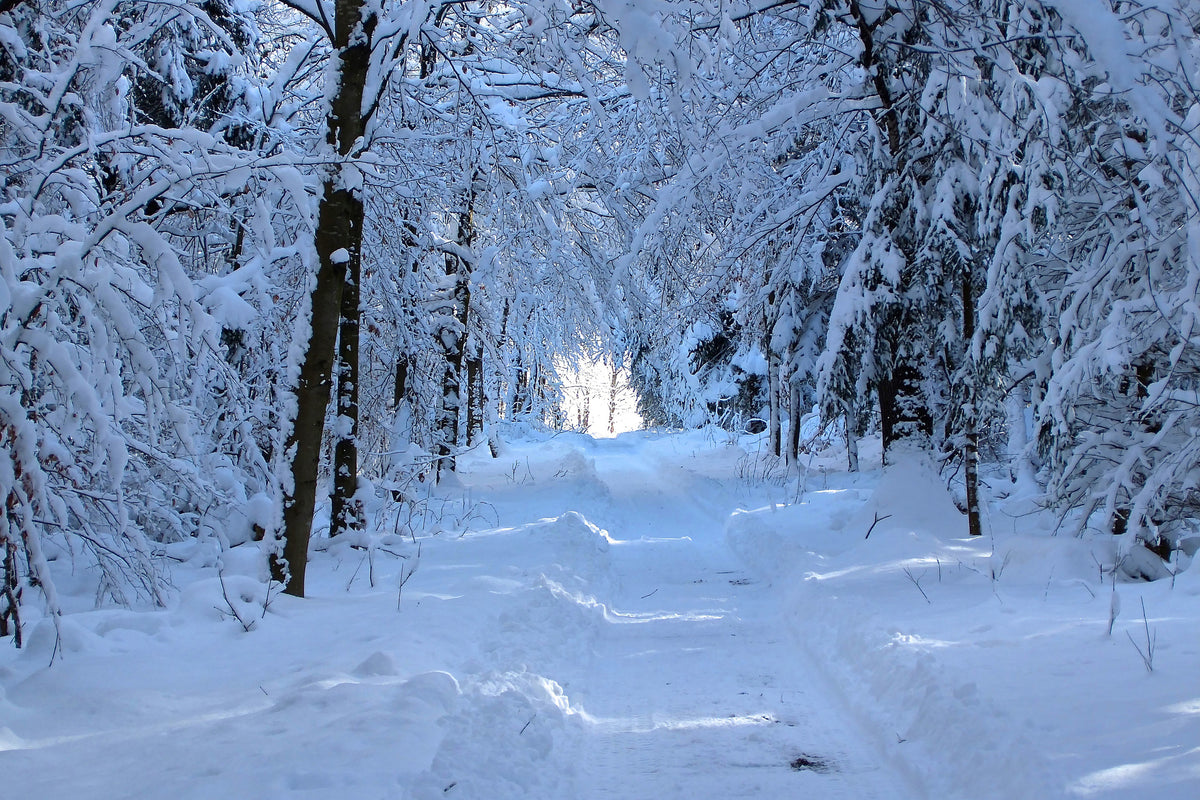 framedposter-print-finally-winter