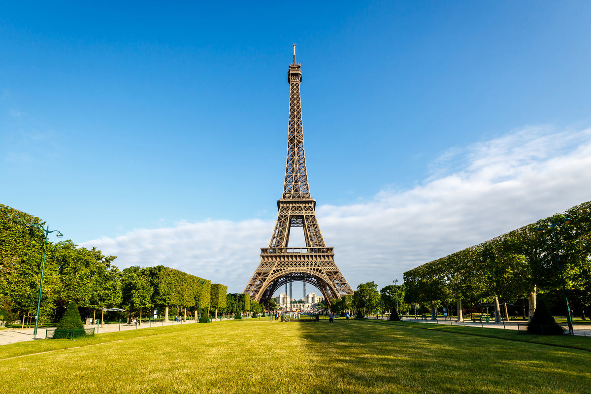 canvas-print-the-eiffel-tower-in-paris
