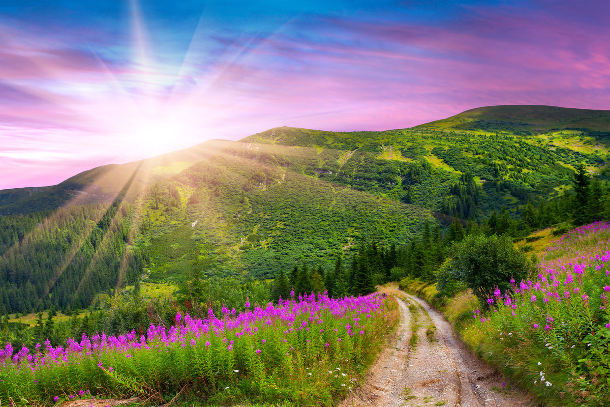 poster-print-a-summer-landscape-at-sunrise