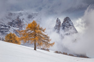 poster-print-between-seasons-x