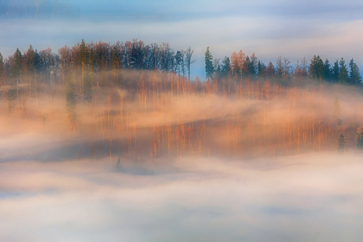 modern-3-piece-canvas-print-in-the-morning-mists