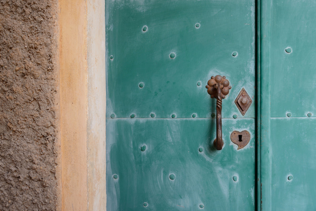 framedposter-print-the-special-door