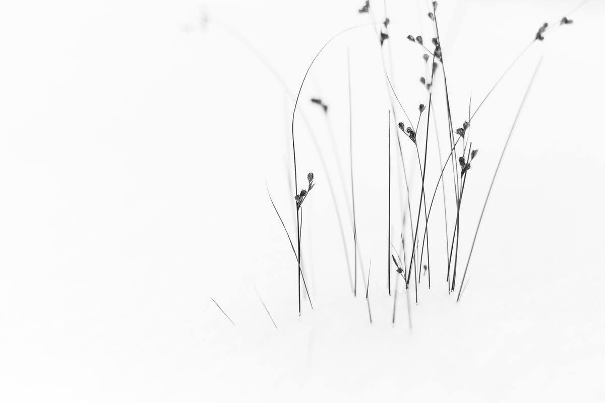 poster-print-black-on-white