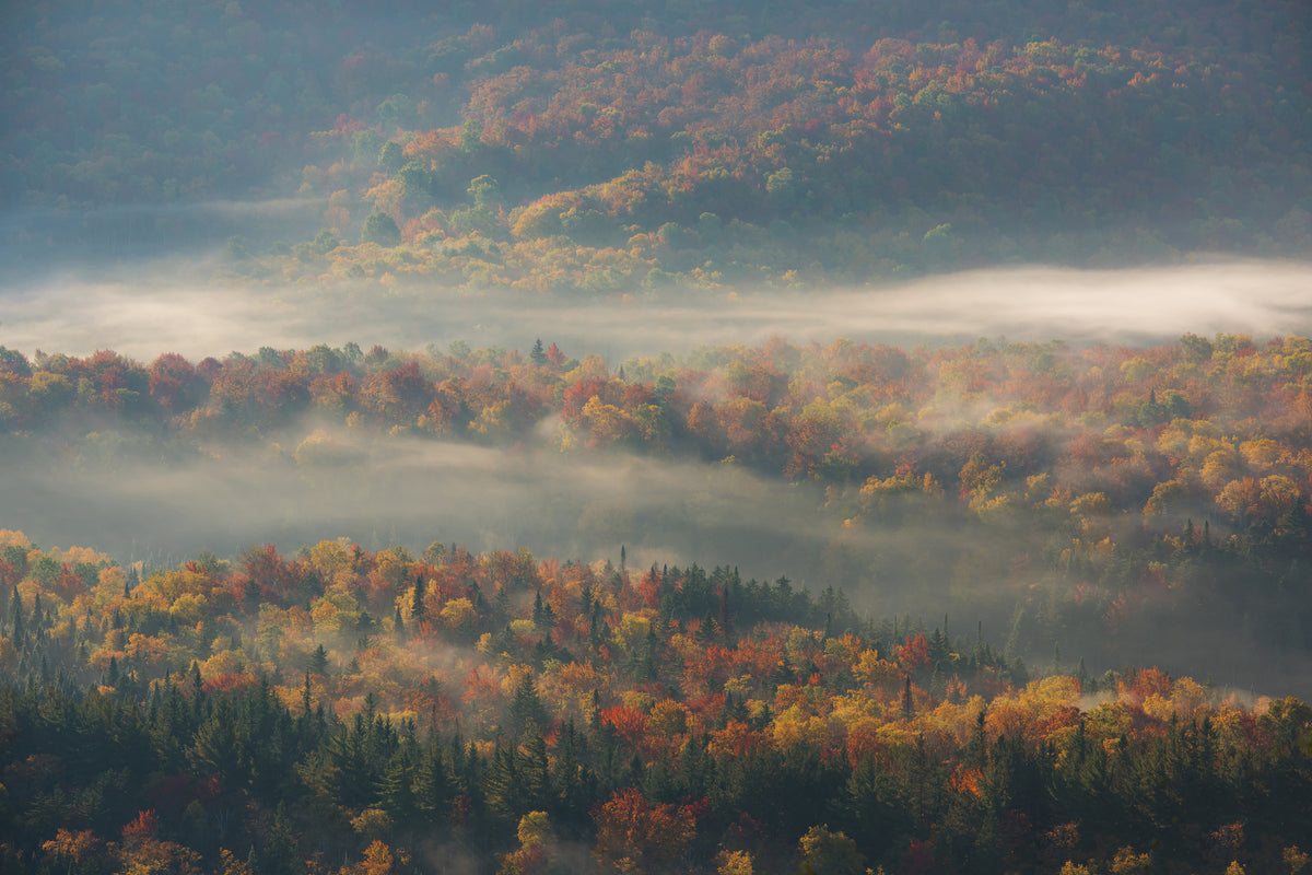 canvas-print-misty-morning-ii-a