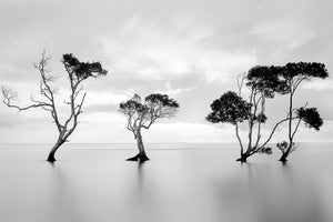 modern-3-piece-acrylic-print-drowning-not-waving