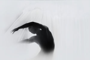 aluminium-print-the-dance-of-silence