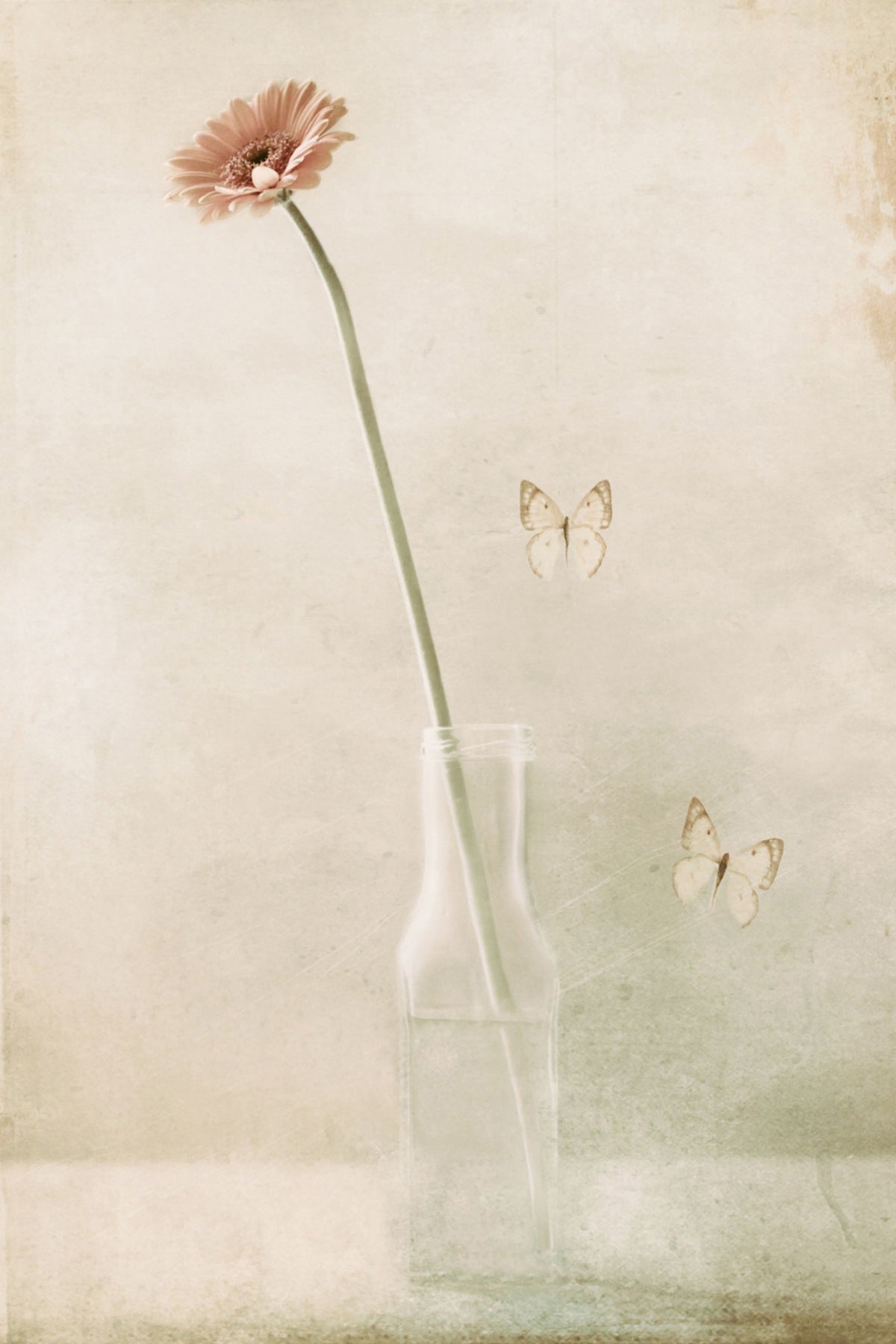 poster-print-miss-daisy