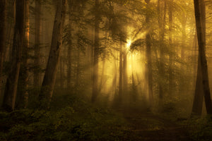 3-piece-aluminium-print-yellow-the-bigger-picture