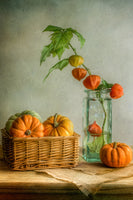 canvas-print-autumn-xqk