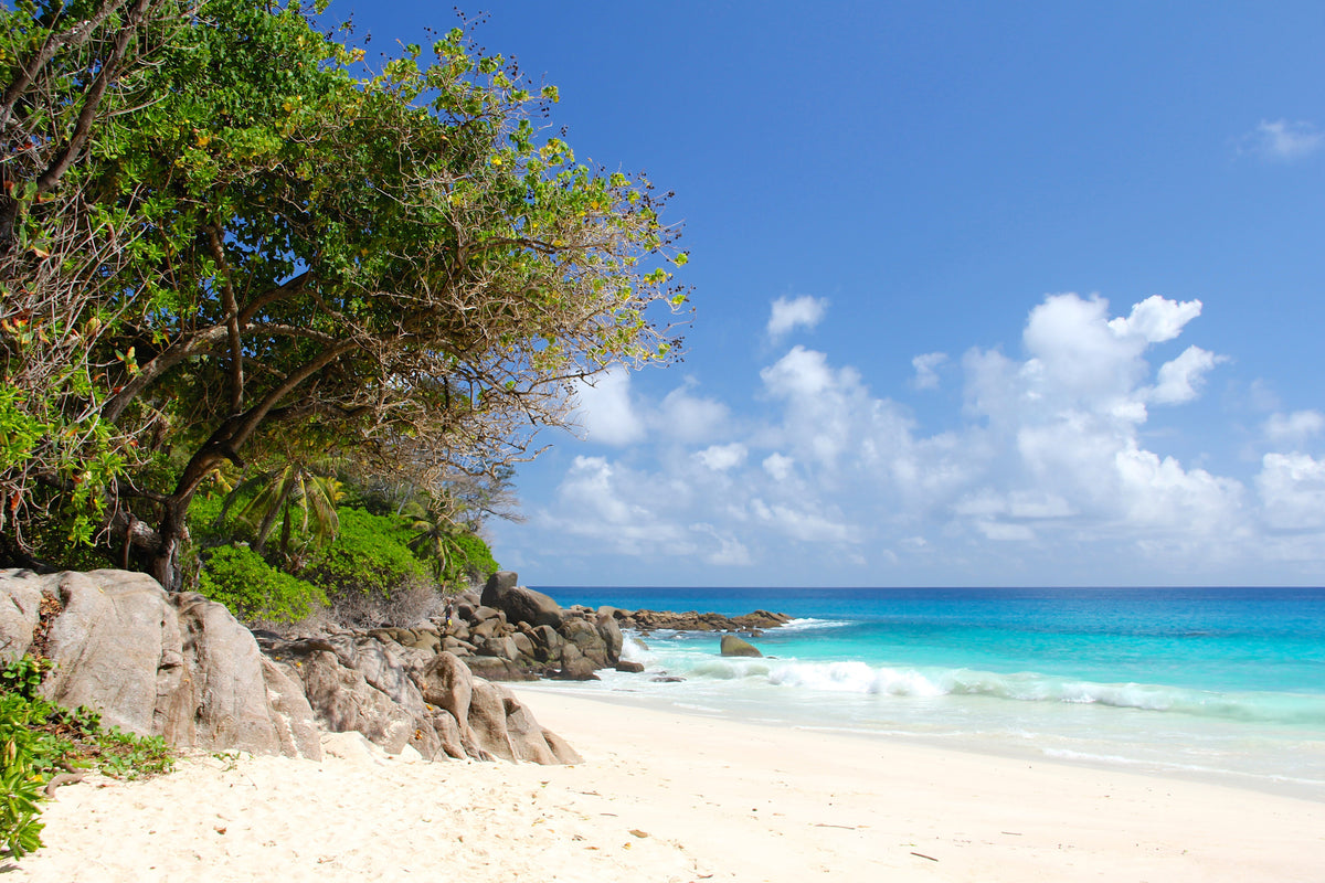 3-piece-aluminium-print-dream-beach-seychelles