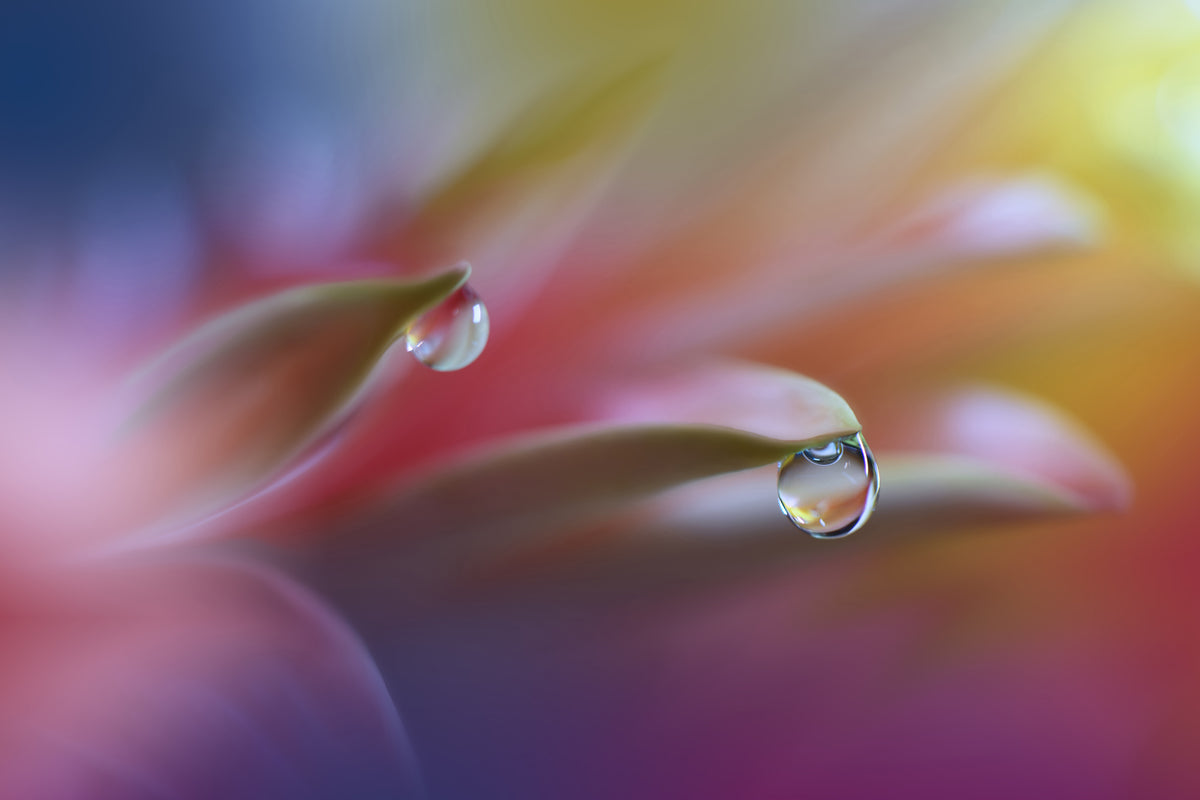 canvas-print-sound-of-colors-x