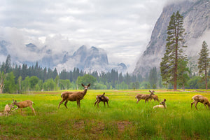 3-piece-canvas-print-a-feeling-of-ancient-time