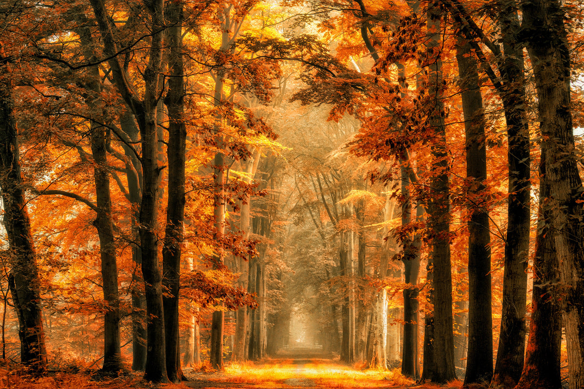 modern-3-piece-canvas-print-exit-the-portal