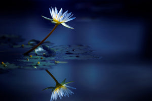 framedcanvas-print-reflection-xdb