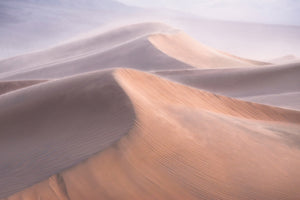 framedposter-print-wind