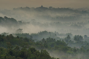 canvas-print-temple-in-the-mist