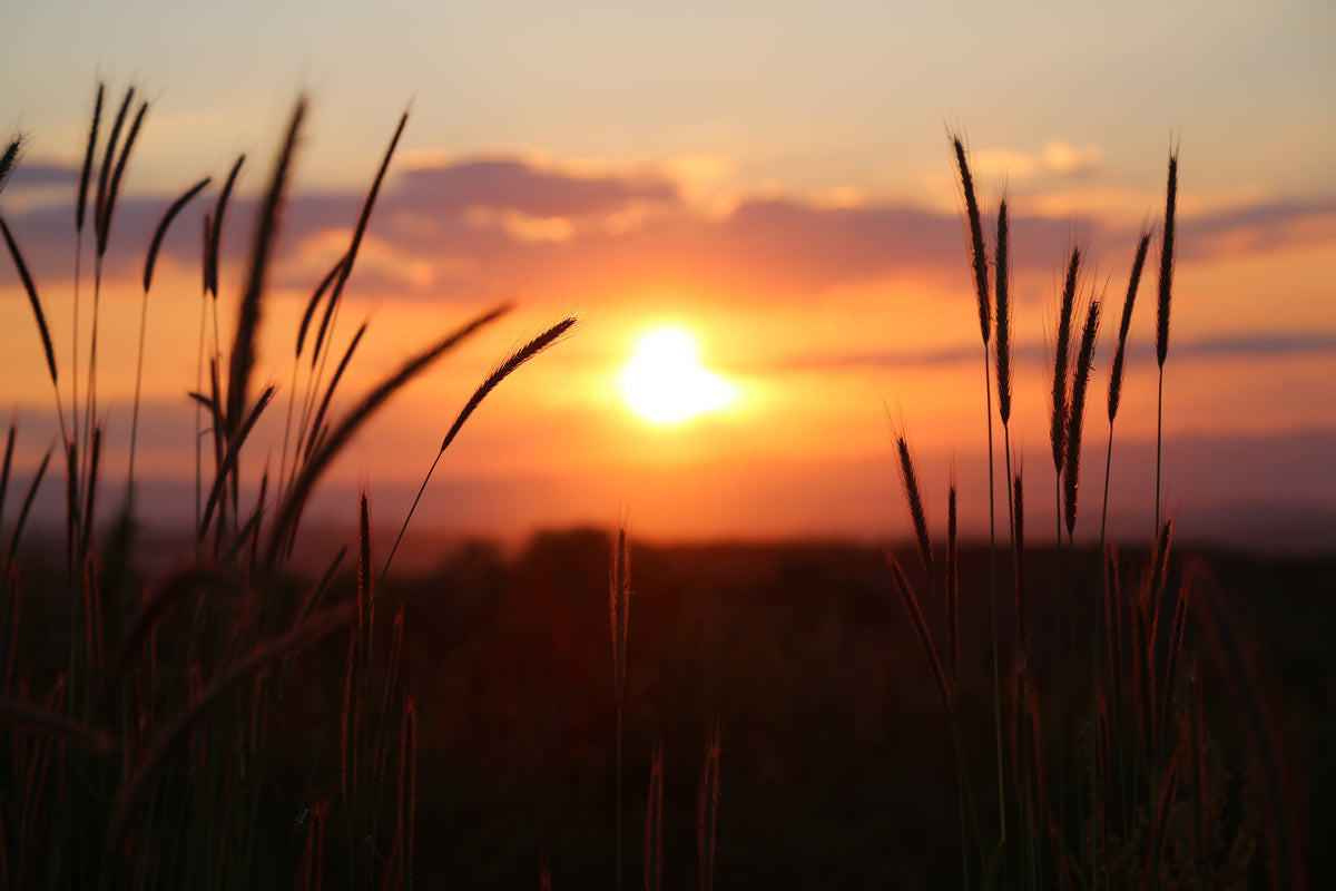 3-piece-canvas-print-adorable-sunset