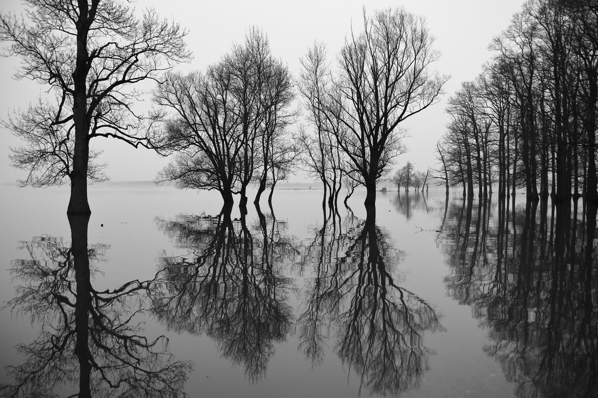 aluminium-print-flood-x