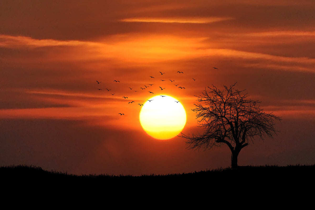 aluminium-print-the-sunset-on-the-horizon