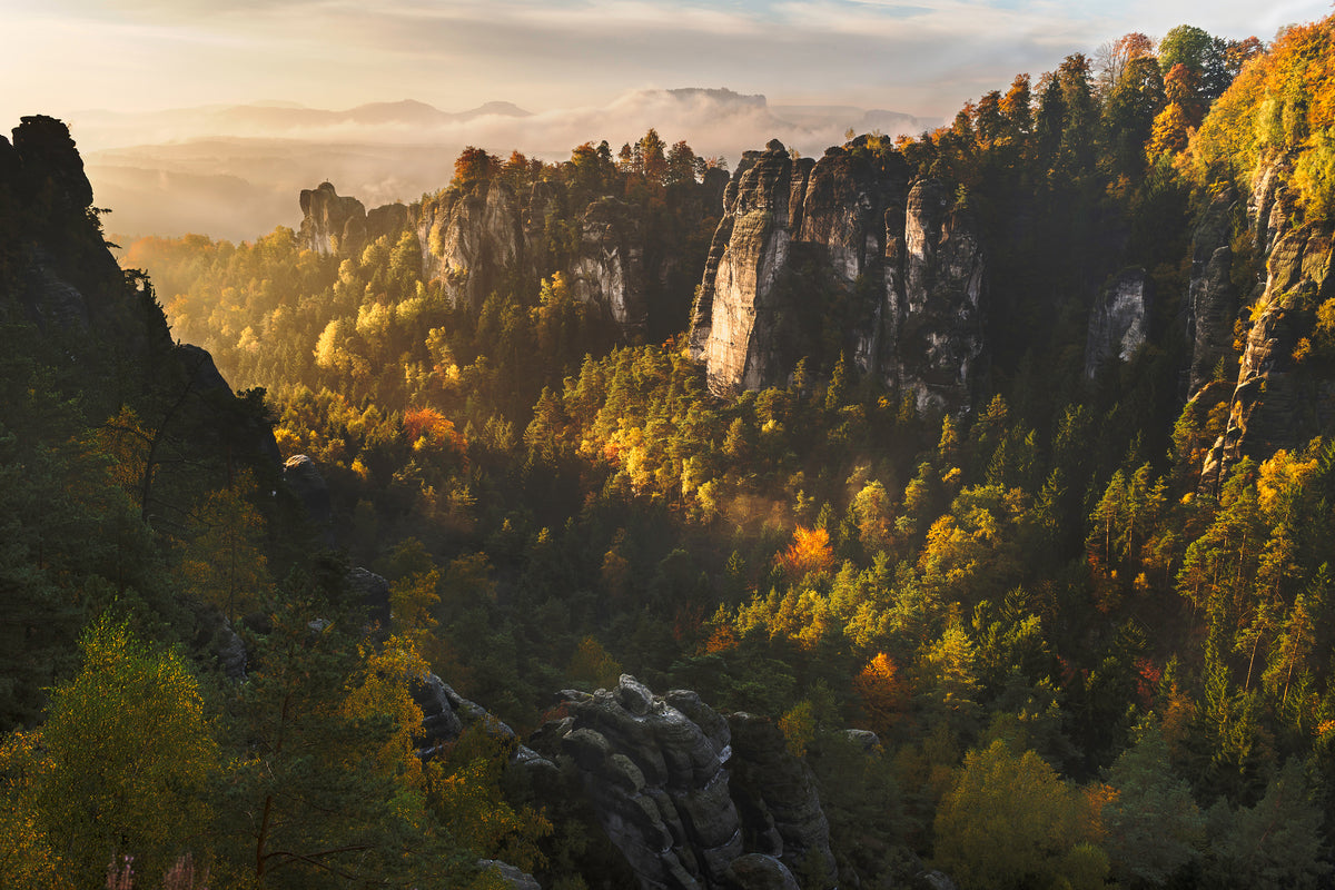 3-piece-aluminium-print-forest-whispers