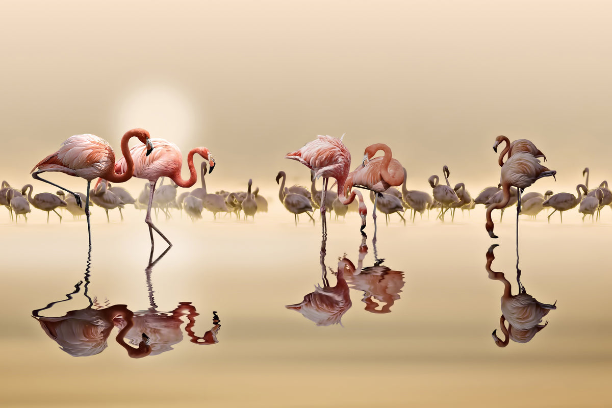 aluminium-print-flamingos-x