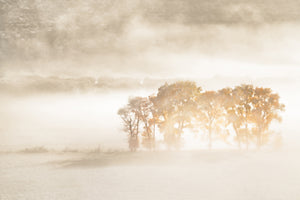 modern-3-piece-aluminium-print-autumn-dreams