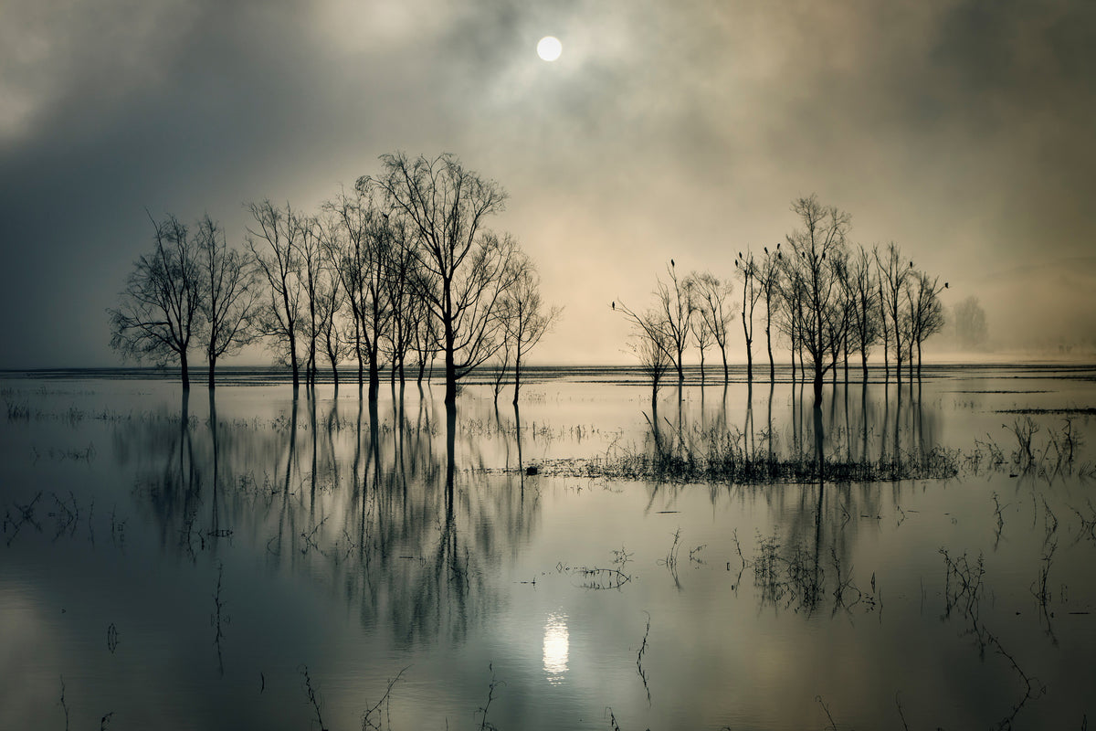 framedposter-print-lakes-secret