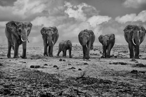 acrylic-print-big-family