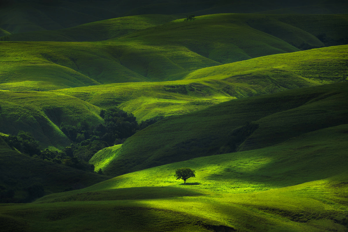 aluminium-print-savana-mamboro-x