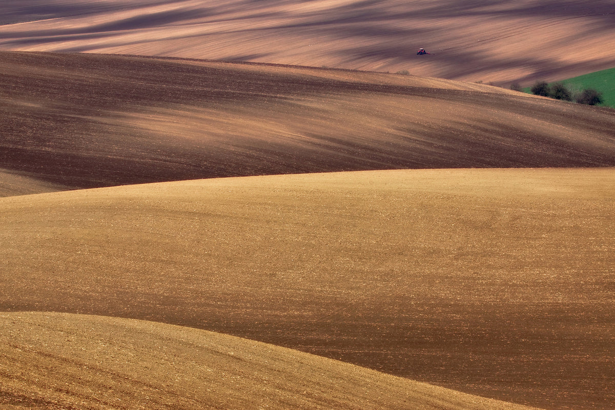 poster-print-spring-work-x