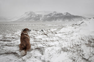 acrylic-print-snowstorm-x