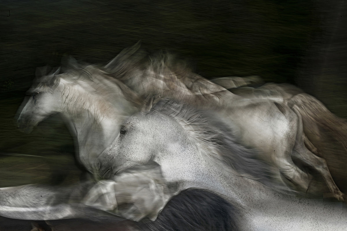 acrylic-print-into-the-dark