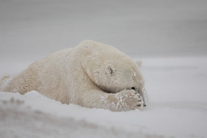 framedcanvas-print-now-you-see-me-x