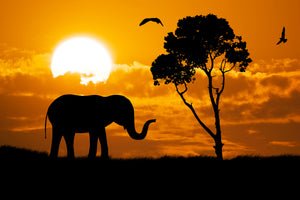 acrylic-print-dreamy-africa